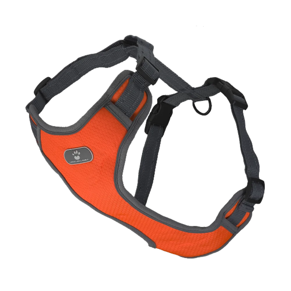 Шлея анатомічна світловідбивна AnimAll HL-8005-1 для собак, колір помаранчевий, XL 46-92 см